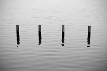 Holzpfähle im See | minimalistisch schwarz-weiß