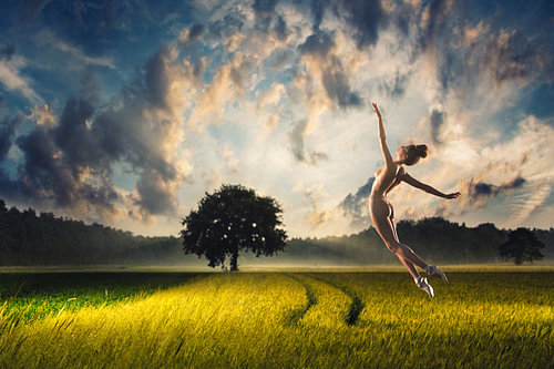 Balletsprong in het veld