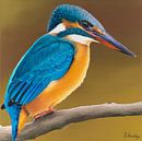 Ijsvogel portret schilderij van Russell Hinckley thumbnail