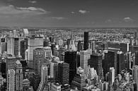 Manhattan (New York City) panorama van Alexander Mol thumbnail