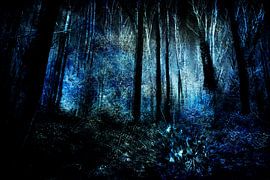 Aan het eind van een bos #04 van Peter Baak