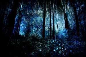 Am Ende eines Waldes #04