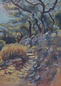 Stone path along the olive grove