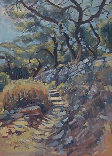 Stenen pad langs de olijfgaard