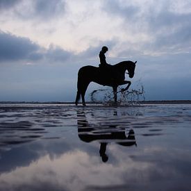 Pferd und Reiterin bei Sonnenuntergang von Latifa - Natuurfotografie
