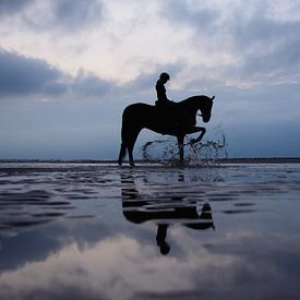 Cheval et cavalier au coucher du soleil sur Latifa - Natuurfotografie