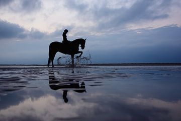 Pferd und Reiterin bei Sonnenuntergang von Latifa - Natuurfotografie