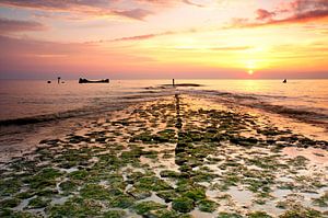 Strandwall Prinz George Hondsbossche von John Leeninga