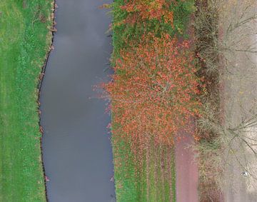 Herfst van Pieter van der Weijden
