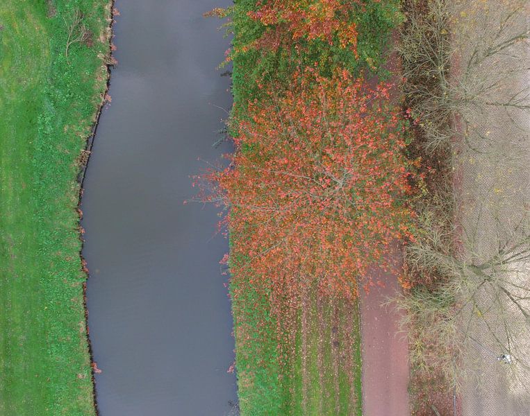 Herbst von Pieter van der Weijden