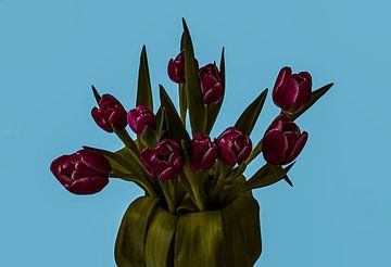 Tulpen blauwe bg kleur van BAM