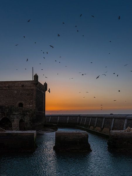 Essaouira van Ton van den Boogaard