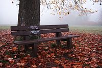 Parkbank im Herbst