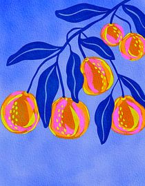 Sommer Zitrusfrüchte von Nikita Jariwala