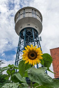 Zonnebloem en de watertoren in Goes van Patrick Verhoef