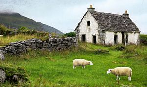 L'Irlande ancienne