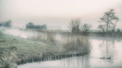 Natuurlijk schoon