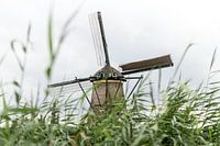 A creative take on Kinderdijk | Iconic Netherlands
