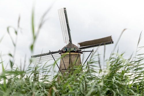 Ein kreativer Blick auf Kinderdijk | Iconic Netherlands