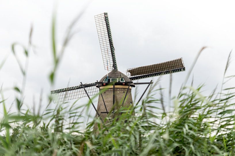 Ein kreativer Blick auf Kinderdijk | Iconic Netherlands von Daisy Renders
