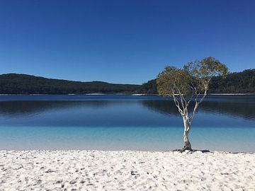 Lake McKinsey Australië solo van Leonie Pereboom