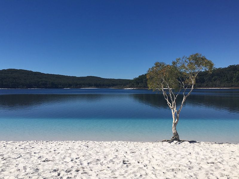 Lake McKinsey Australia solo by Leonie Pereboom