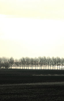 Dutch Polder2