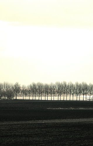 Dutch Polder2