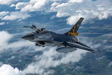 F-16 Sonderlackierung vom Tigergeschwader von ross_impress