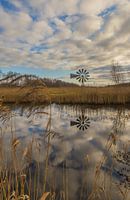 Bosman molen