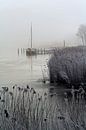 Winter Zoutkamp, Nederland van Peter Bolman thumbnail