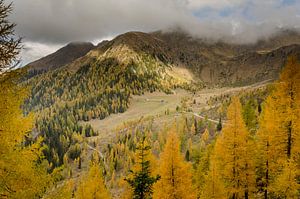 Herbstfarben in den Alpen.