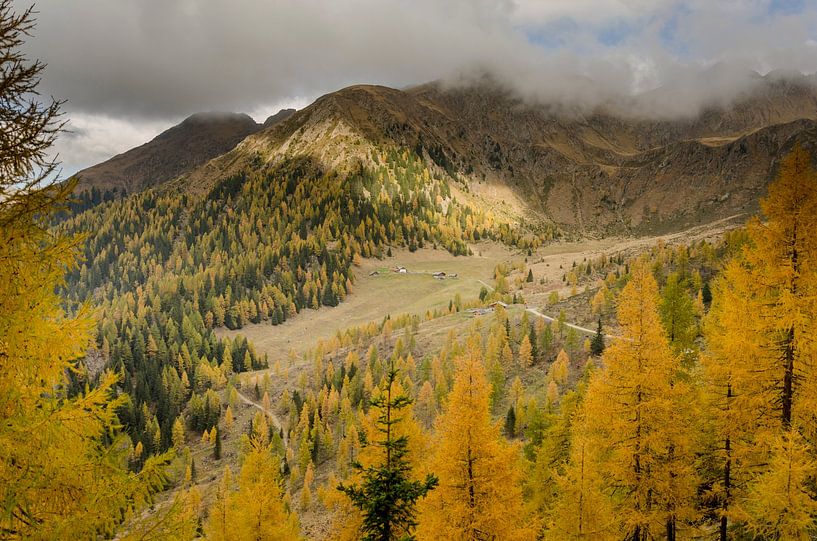 Herfstkleuren in de Alpen. van Sean Vos