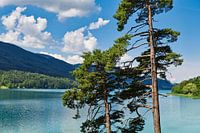 Fuschlsee