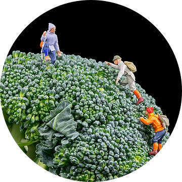 Broccoli van Arie Kraaijeveld