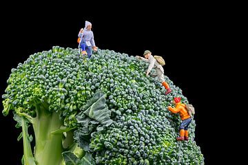 Broccoli van Arie Kraaijeveld