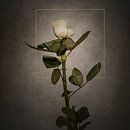 Elegant wit rosé goud in vintage stijl van Melanie Viola thumbnail