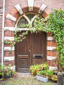 Braune Tür mit Pflanzen