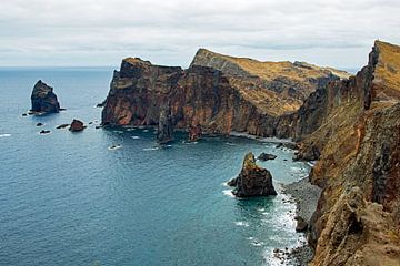 De kust van Madeira van Eva Rusman