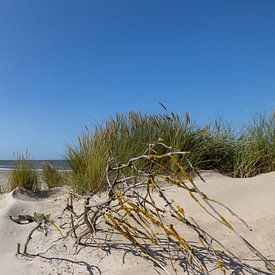 Toller Blick aufs Meer von Christoph Schaible