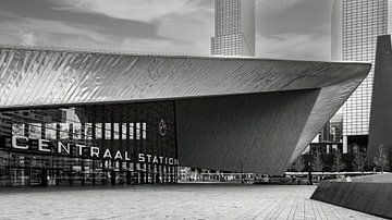 Station Rotterdam Centraal (station kapsalon) van Stedelijke landschappen - Rick Van der Poorten Fotografie