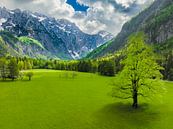 Logar Valley in de Kamnik Savinja Alpen in Slovenië tijdens de lente van Sjoerd van der Wal Fotografie thumbnail