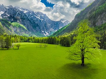 Das Logar-Tal in den Kamniker Savinja-Alpen in Slowenien im Frühling von Sjoerd van der Wal Fotografie