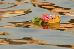 Candle on the holy river Ganges by Gonnie van de Schans