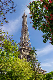 La tour Eiffel au printemps, Paris, France sur Adelheid Smitt
