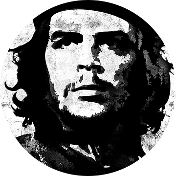 Che Guevara van Maarten Knops