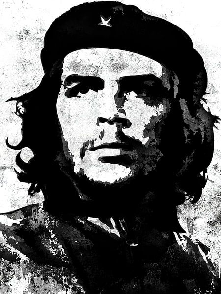 Che Guevara van Maarten Knops