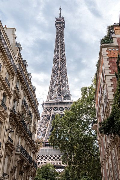 A glimpse of the Eiffel Tower by Nicole Schmidt