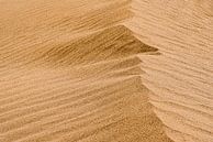 Licht en schaduw van een duin in de woestijn | Iran van Photolovers reisfotografie thumbnail