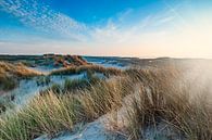 sunset on the coast of the Netherlands by gaps photography thumbnail
